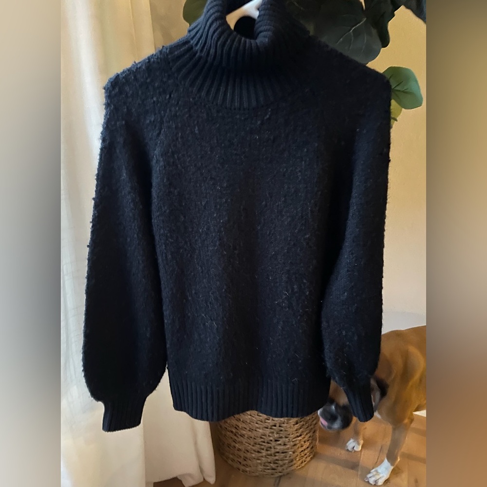 Who What Wear Chunky Turtleneck Sweater S